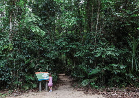 Djiru National Park - Sydney 4u 2