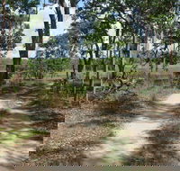 Djukbinj National Park - Sydney 4u