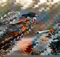 Echuca Paintball Games - Accommodation Sydney