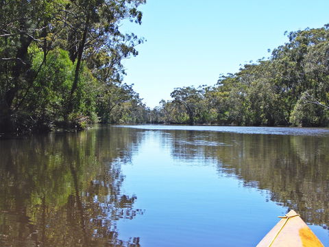 Esk River - Accommodation Sydney 0