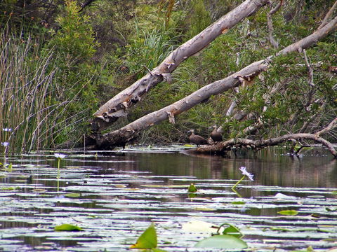 Esk River - Accommodation Sydney 1