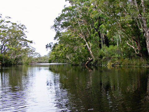 Esk River - Accommodation Sydney 2