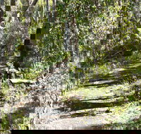 Euglah Rock Walking Track - Sydney Resort