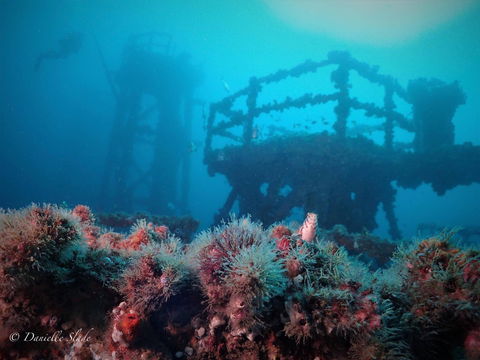 Ex HMAS Adelaide - Accommodation Sydney 0