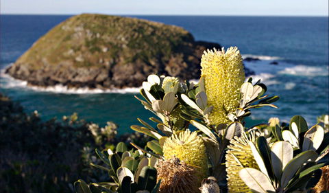 Green Island Walking Track - Sydney Resort 0