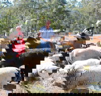 Haigslea EWE Nique Hobby Farm - Sydney 4u