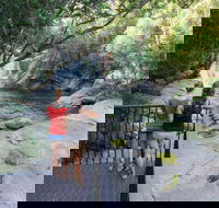 Josephine Falls walking track Wooroonooran National Park