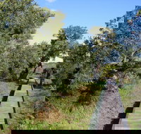 Kepwari Trails Wetland Wonderland - Sydney Resort