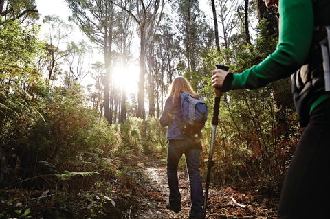 Kinglake National Park - Sydney 4u 0