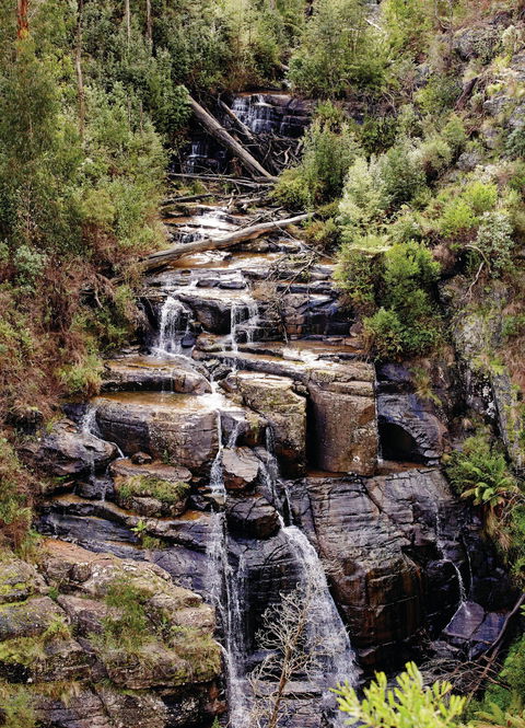 Kinglake National Park - Sydney 4u 1