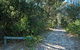 Lillypilly Loop Trail - thumb 0