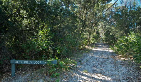 Lillypilly Loop Trail - Accommodation Sydney 0