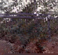 Marrinup Trail Dwellingup - Sydney Resort