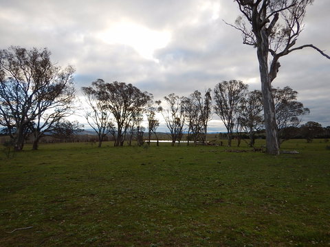 Murrumbateman - Accommodation Sydney 1