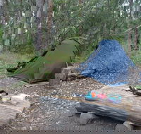 Northbrook Mountain Bush Camp - Sydney 4u