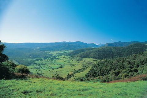 Numinbah Section, Springbrook National Park - Accommodation Sydney 0