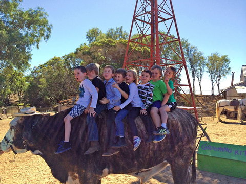 Outback Stockman's Show - Sydney Resort 1