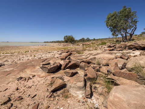 Peery Lake Picnic Area - Accommodation Sydney 0
