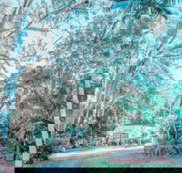 Phillips Gallery - Accommodation Sydney