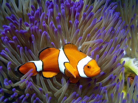 Reef HQ Aquarium - Sydney 4u 1