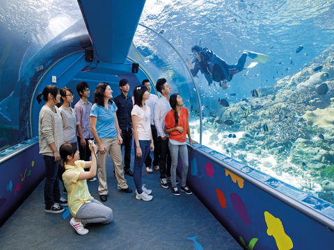 Reef HQ Aquarium - Sydney 4u 2