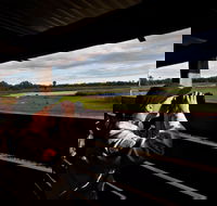 Reed Beds Bird Hide Boardwalk