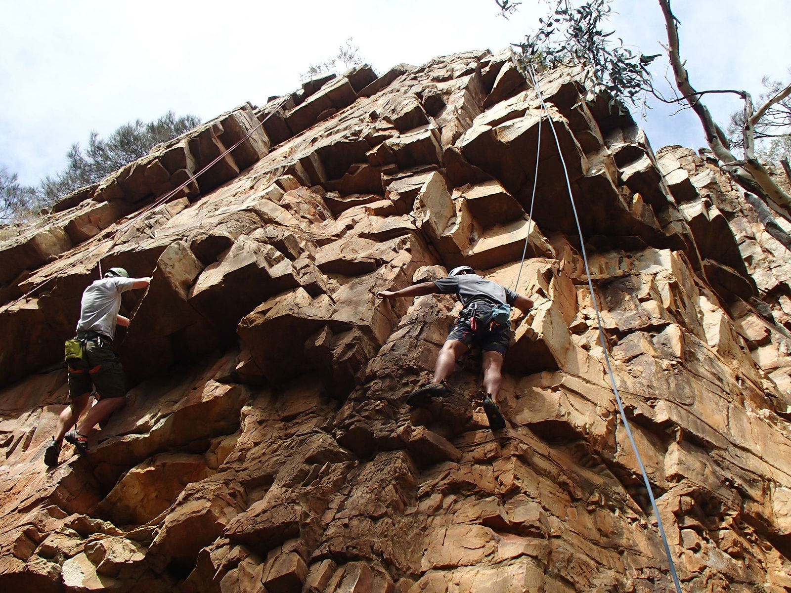 Woodforde SA Sydney 4u