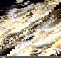 Rushworth - Accommodation Sydney