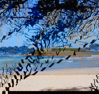 Sandon Beach - Accommodation Sydney