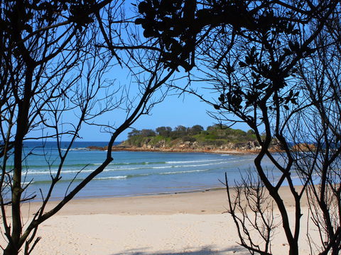Sandon Beach - Sydney 4u 0