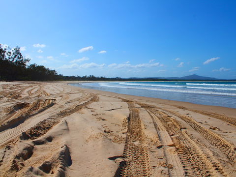 Sandon Beach - Sydney 4u 2