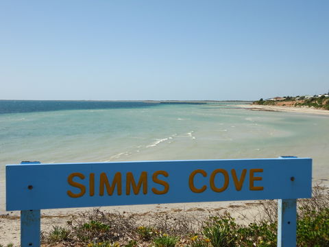 Simms Cove Lookout And Beach, Moonta Bay - Accommodation Sydney 0
