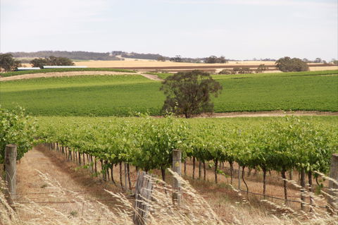 Smidge Wines Tasting Room - Accommodation Sydney 0