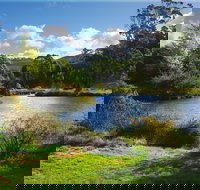 Tasmanian Arboretum Inc. - The - Accommodation Sydney