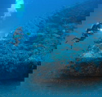 The Zanoni Wreck - Accommodation Sydney