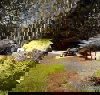 The Pines Picnic Area - Accommodation Sydney