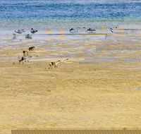 Towra Beach - Accommodation Sydney