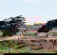 Turbo Buggy Ride - Accommodation Sydney