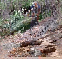 Turner Hill Mountain Bike Trail Murray - Accommodation Sydney