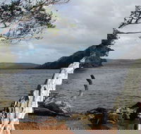 Walpole-Nornalup Inlet - Accommodation Sydney