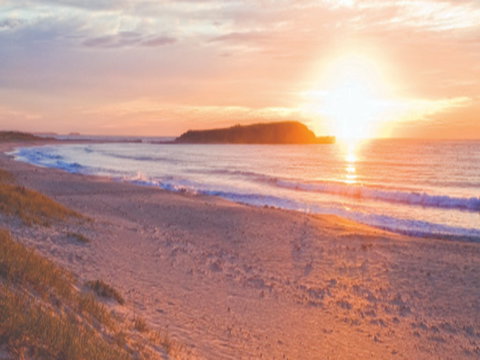 Warilla Beach: Shellharbour - Accommodation Sydney 0