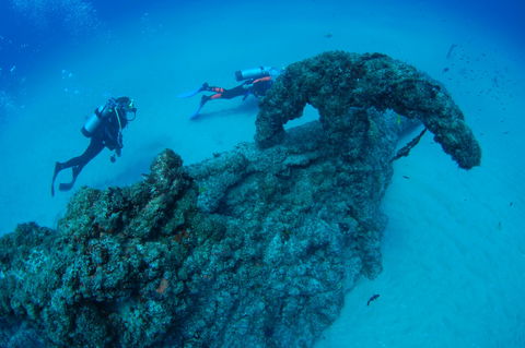 Aarhus Dive Site - Sydney 4u 1