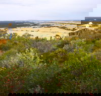 Archer Drive Scenic Drive and Lookout - Accommodation Sydney