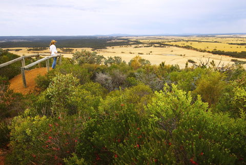 Archer Drive Scenic Drive And Lookout - Accommodation Sydney 0