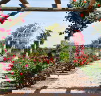 Australian Inland Botanic Gardens - Sydney 4u