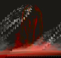 Bangarra Dance Theatre - Accommodation Sydney