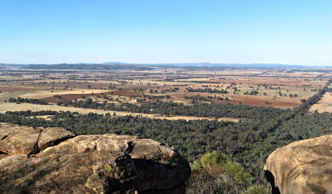 Basin Gully To Eualdrie Lookout Track - Accommodation Sydney 0