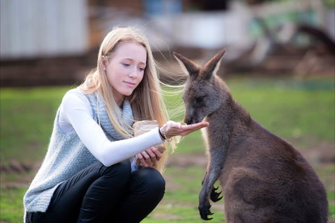 Bonorong Wildlife Sanctuary - Sydney 4u 1