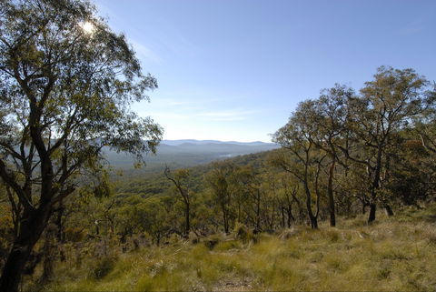 Bunyip State Park - Sydney 4u 0