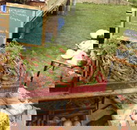 Burnie Farmers Market - Accommodation Sydney